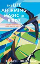 The Life Affirming Magic of Birds