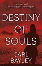 Destiny of Souls