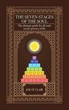 The Seven Stages of The Soul: The ultimate guide for all souls on the journey of life