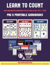 Pre K Printable Workbooks (Learn to count for preschoolers)