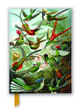 Ernst Haeckel: Hummingbirds (Foiled Journal)