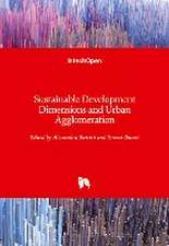 Sustainable Development Dimensions and Urban Agglomeration