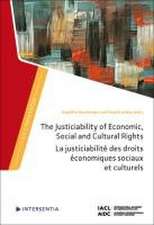 The Justiciability of Economic, Social and Cultural Rights