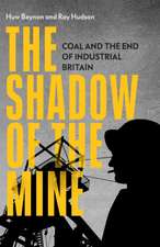 The Shadow of the Mine