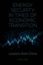 Energy Security in Times of Economic Transition – Lessons from China