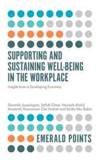 Supporting and Sustaining Well–Being in the Work – Insights from a Developing Economy