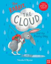 The Rabbit, the Cloud and the Rainy Day