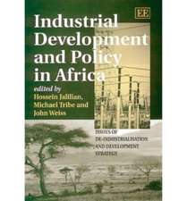 Industrial Development and Policy in Africa – Issues of De–Industrialisation and Development Strategy