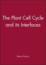 Plant Cell Cycle and its Interfaces