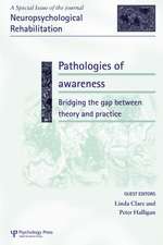 Pathologies of Awareness: Bridging the Gap between Theory and Practice: A Special Issue of Neuropsychological Rehabilitation