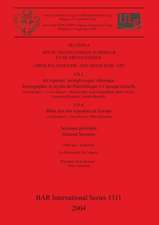 Art du Paléolithique Supérieur et du Mésolithique / Upper Palaeolithic and Mesolithic Art