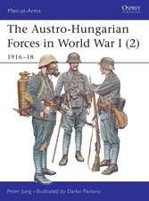 The Austro-Hungarian Forces in World War I (2): 1916–18