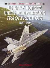 US Navy Hornet Units of Operation Iraqi Freedom (Part Two)