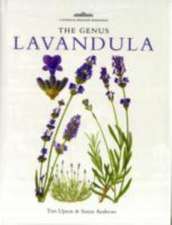 Genus Lavandula