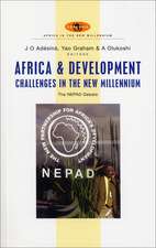 Africa and Development Challenges in the New Millennium: The NEPAD Debate