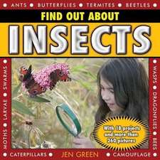 Find Out about Insects