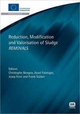 Reduction, Modification and Valorisation of Sludge Removals