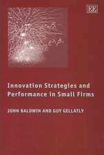 Innovation Strategies and Performance in Small Firms