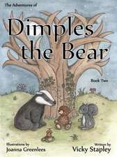 Adventures of Dimples the Bear