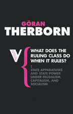 What Does the Ruling Class Do When It Rules?: State Apparatuses and State Power Under Feudalism, Capitalism and Socialism