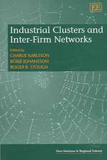 Industrial Clusters and Inter–Firm Networks