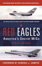 Red Eagles: America's Secret MiGs