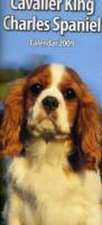 CAVALIER KING CHARLES SPANISL