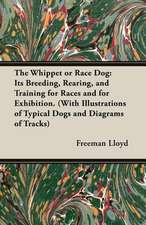 The Whippet or Race Dog