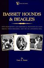 Basset Hounds & Beagles