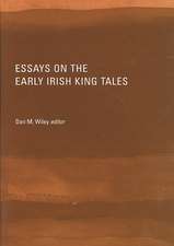 Essays on the Early Irish King Tales