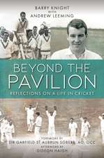 Beyond The Pavilion