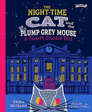 The Night-Time Cat and the Plump, Grey Mouse