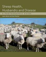 Sheep Health, Husbandry and Disease