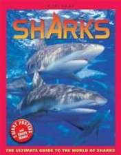 Sharks Poster Book