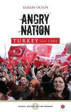 Turkey since 1989: Angry Nation