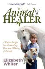 The Animal Healer