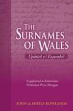 Rowlands, J: Surnames of Wales, The