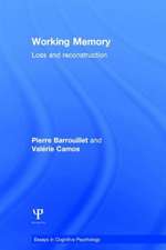 Working Memory: Loss and reconstruction