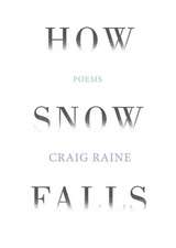 How Snow Falls