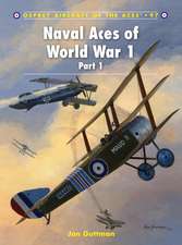 Naval Aces of World War 1, Part I: First in the Blue