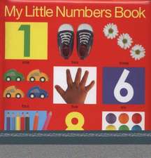 My Little Numbers Book