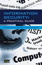 Information Security: A Practical Guide