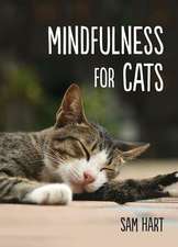 MINDFULNESS FOR CATS