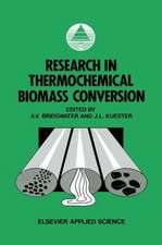 Research in Thermochemical Biomass Conversion