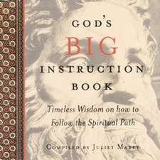 God's BIG Instruction Book: Timeless Wisdom on how to Follow the Spiritual Path