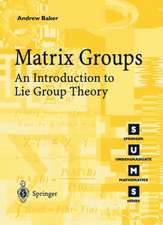 Matrix Groups: An Introduction to Lie Group Theory