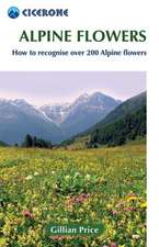 Alpine Flowers