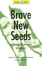 Brave New Seeds: The Threat of GM Crops to Farmers