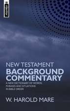 New Testament Background Commentary