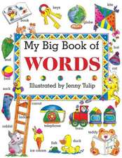 My Big Book of Words